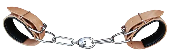 Training Accessories