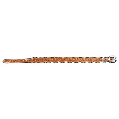 Dog Collars — DC 104