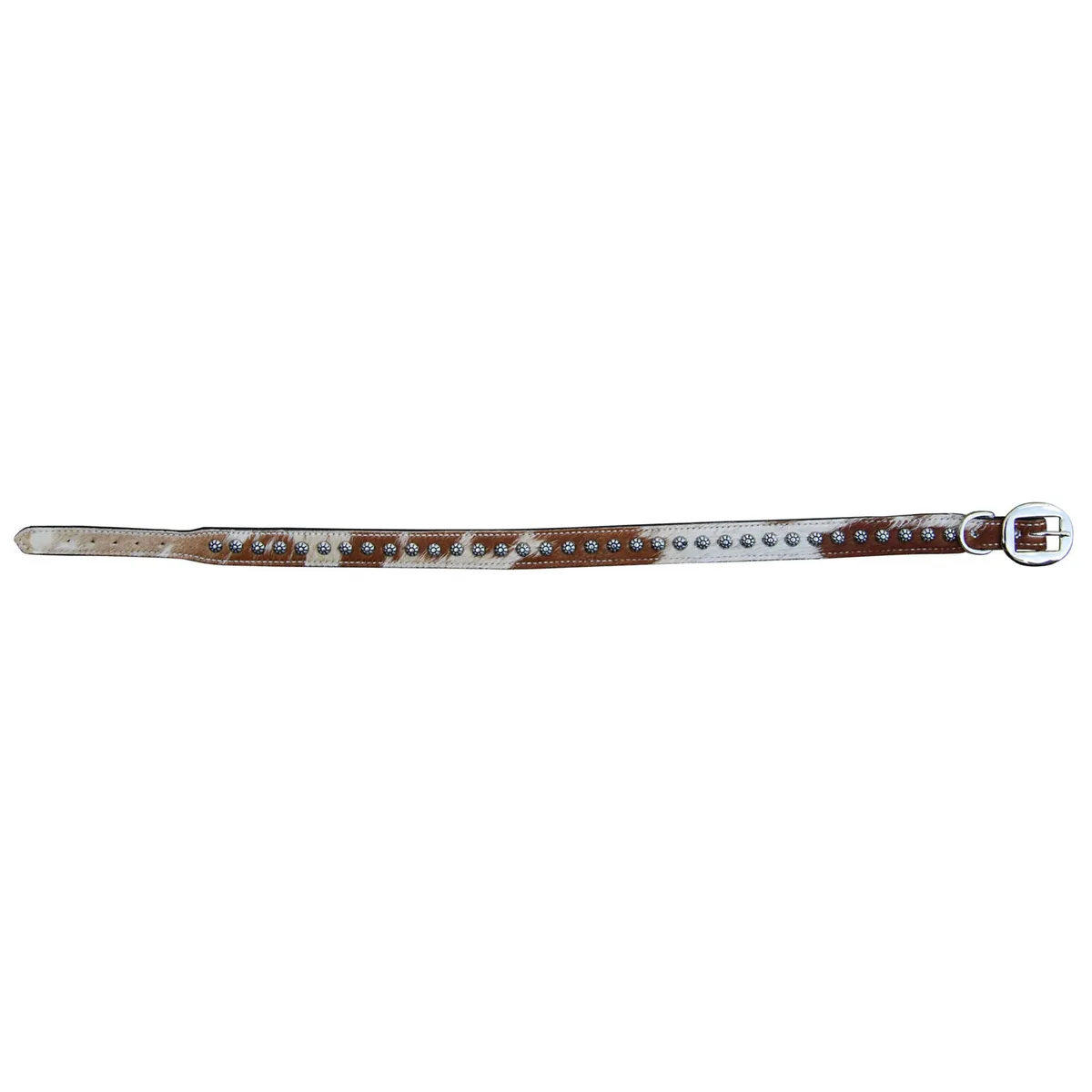 Dog Collars — DC 108