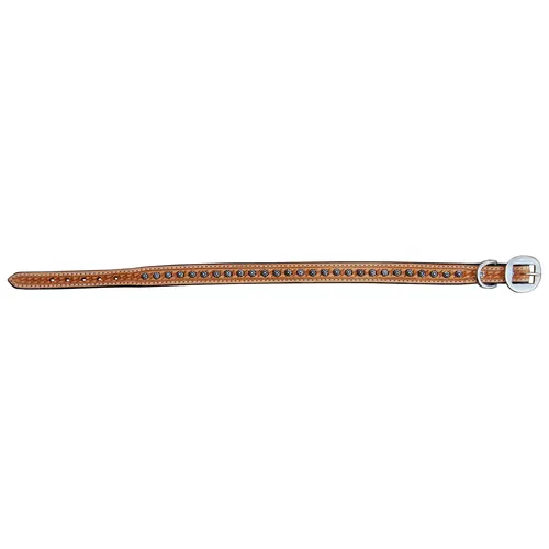 Dog Collars — DC 113