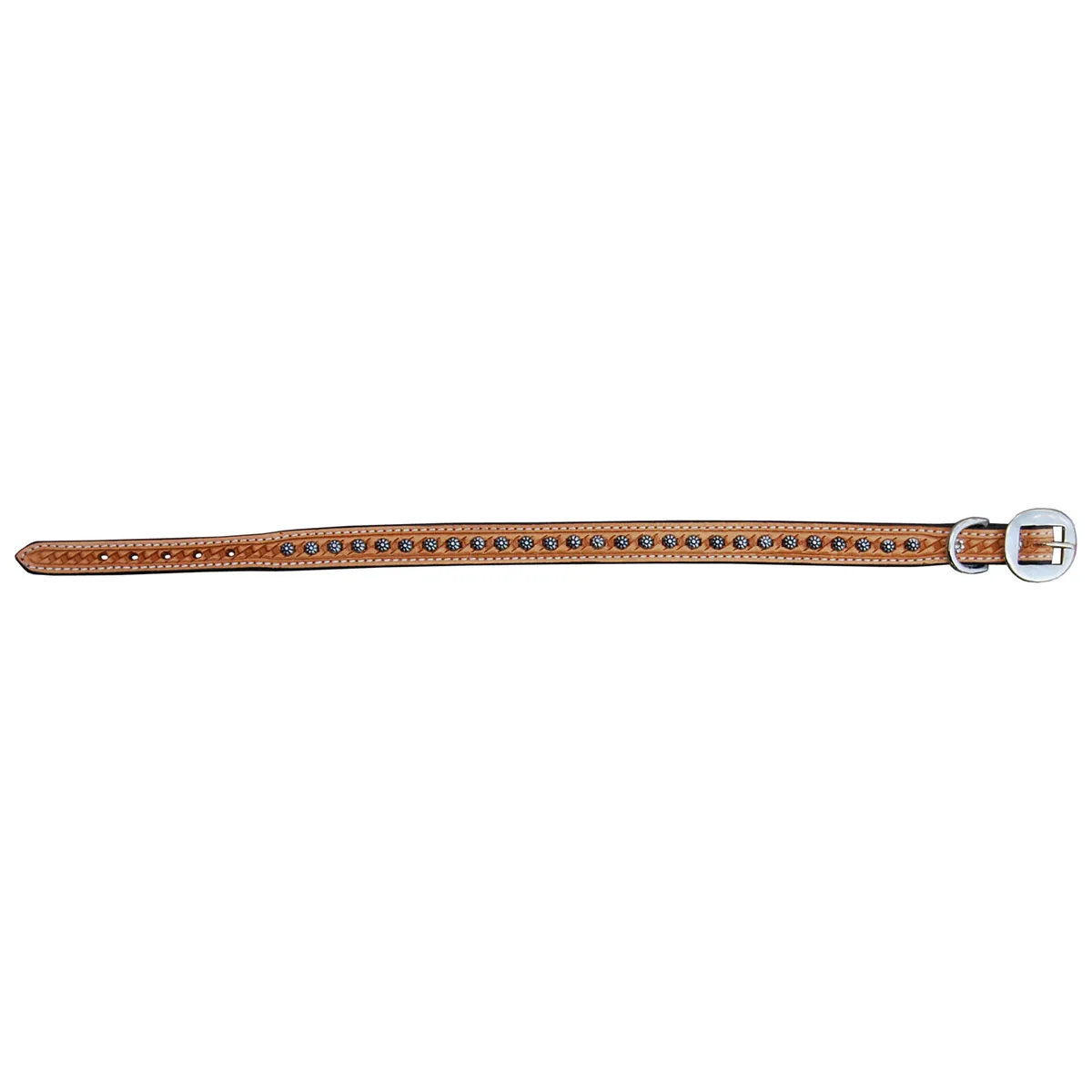 Dog Collars — DC 113