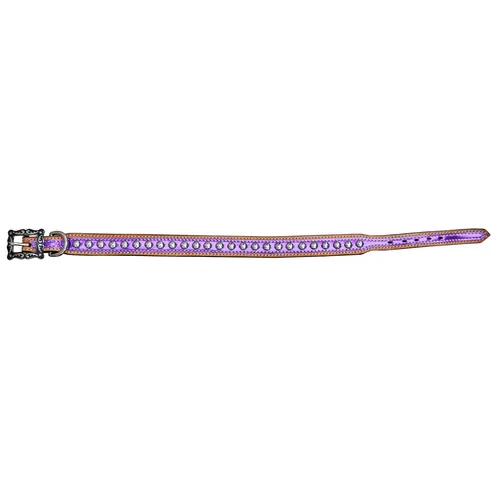 Dog Collars — DC 120