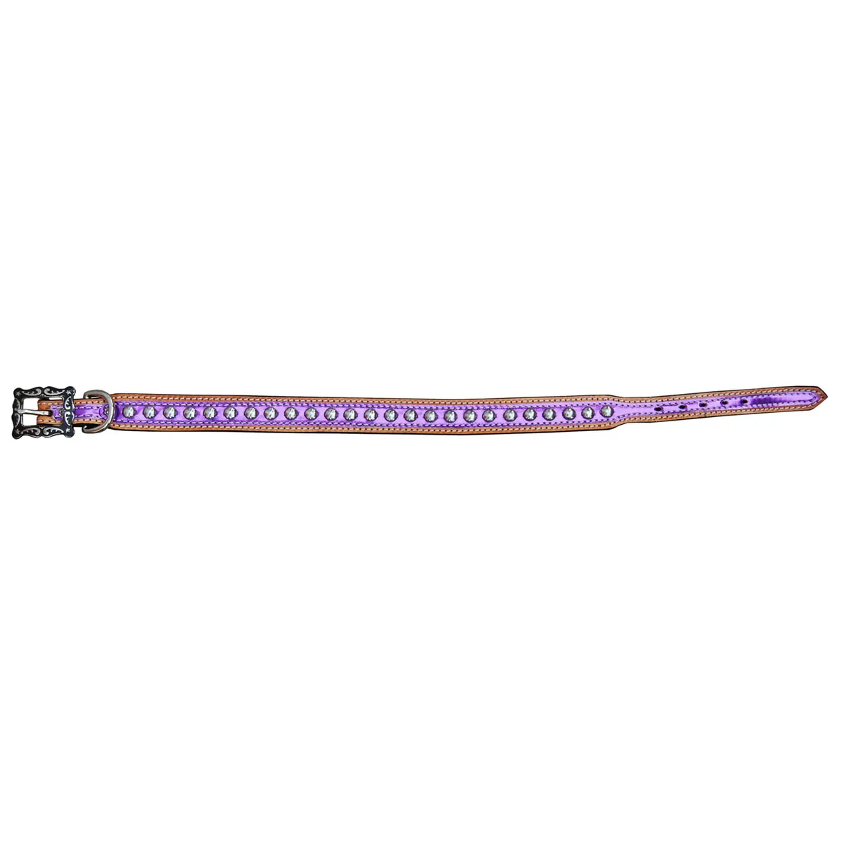 Dog Collars — DC 120