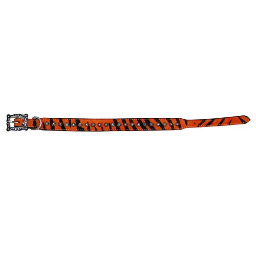 Dog Collars — DC 121