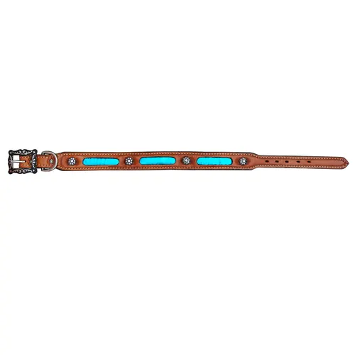 Dog Collars — DC 122