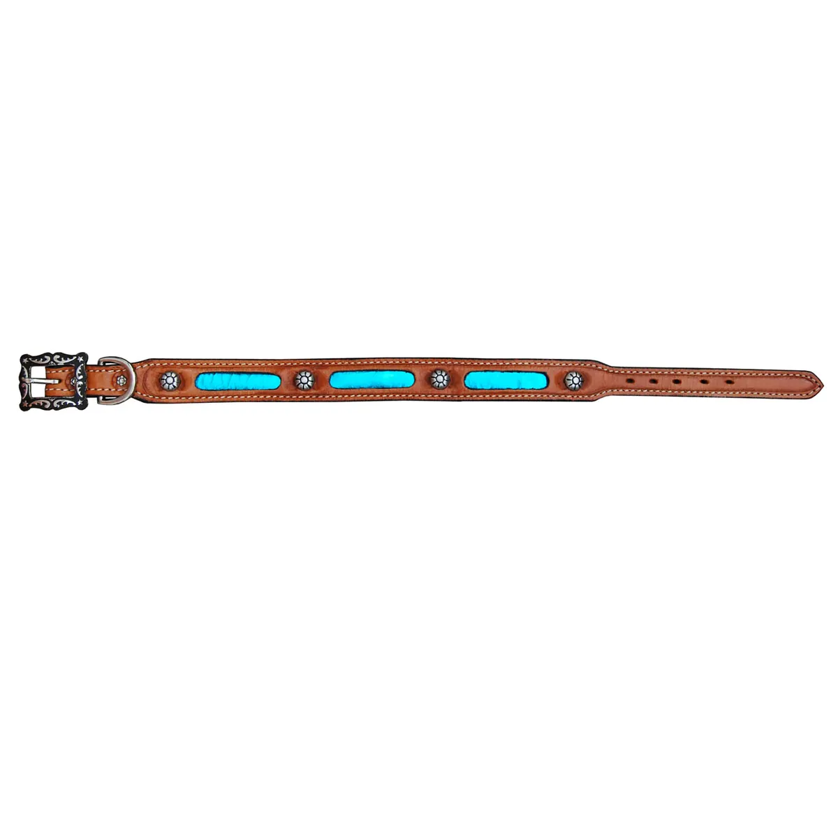Dog Collars — DC 122