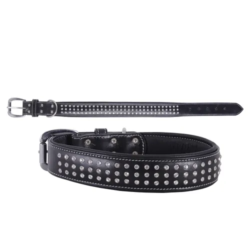 Dog Collars — DC 287