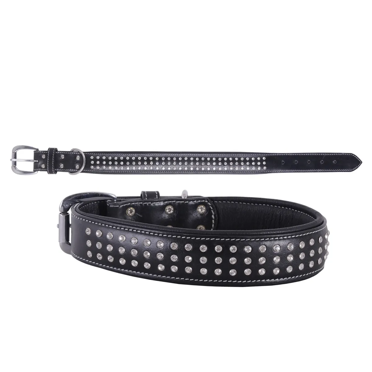 Dog Collar — DC 287