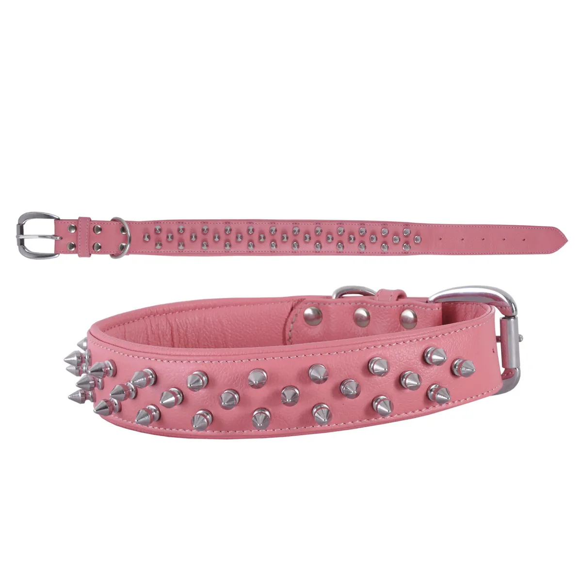 Dog Collar — DC 290