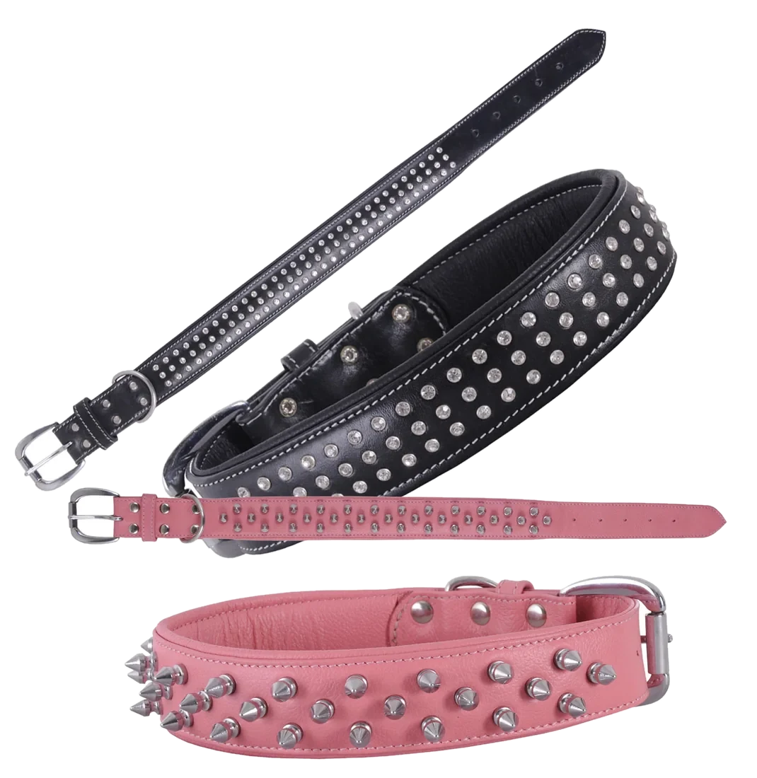 Dog Collars