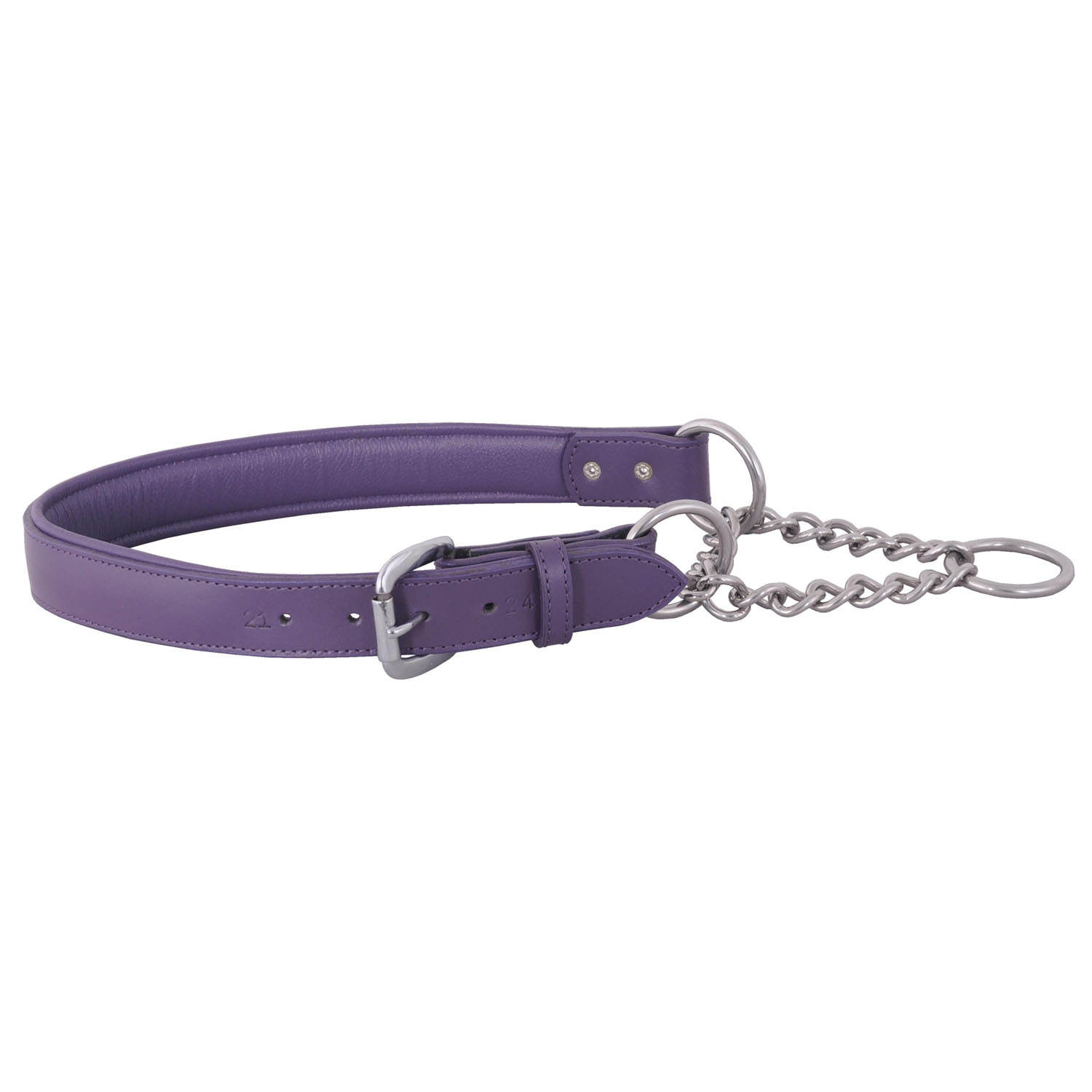 Dog MartingaleDC 297 PUR